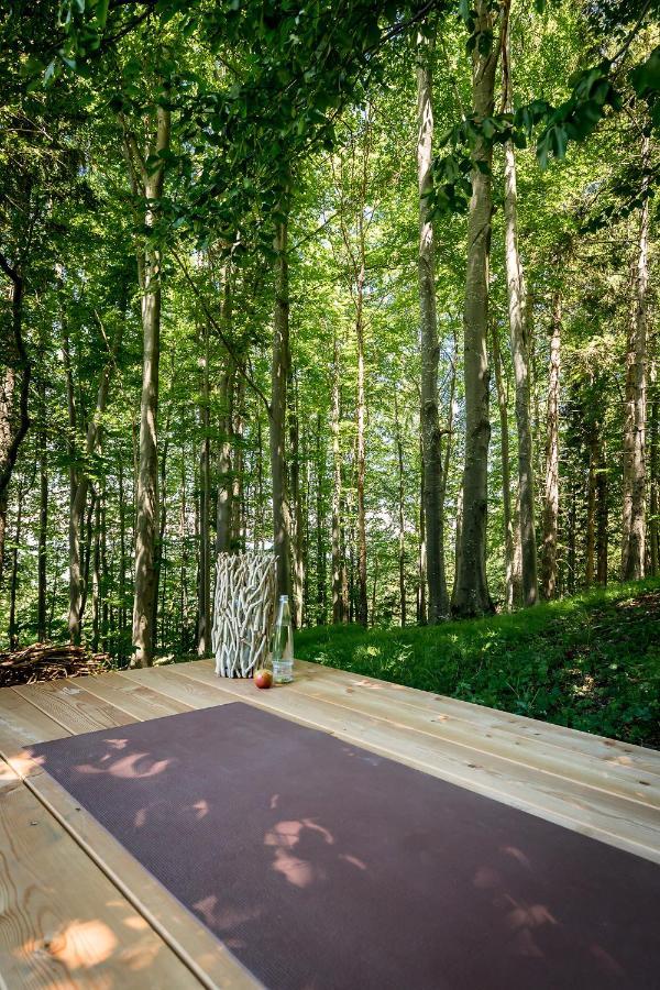 Chiemsee Chalet Frasdorf Exterior photo