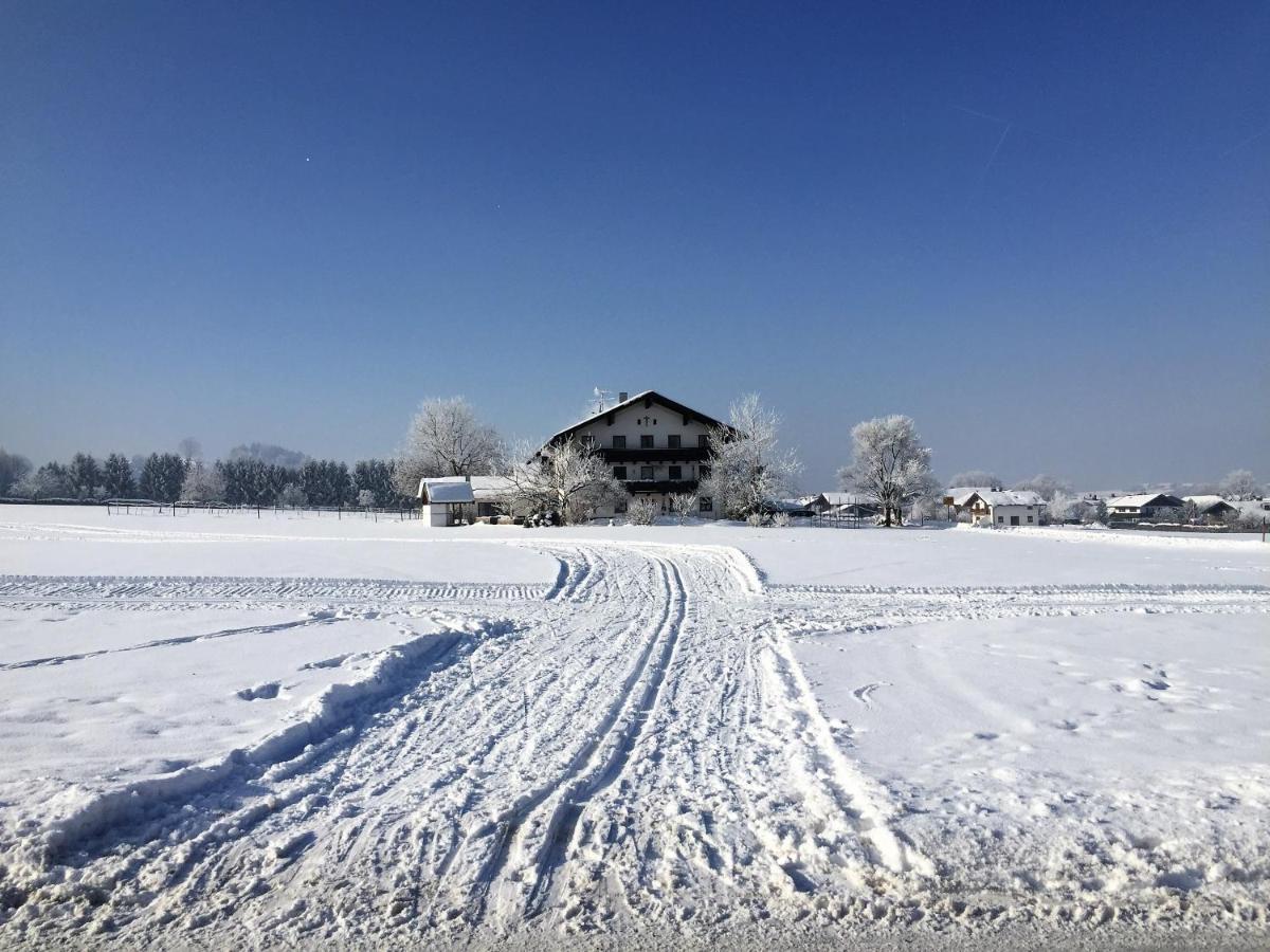 Chiemsee Chalet Frasdorf Exterior photo